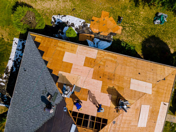 Best Roof Maintenance Services  in Ridge, NY
